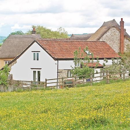 Old Orchard Cottage Colyton المظهر الخارجي الصورة